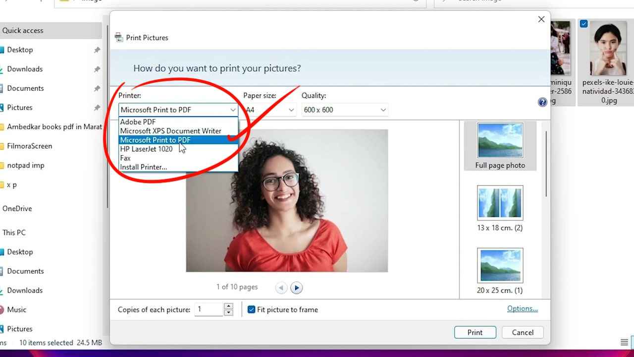 selects Microsoft Print to PDF