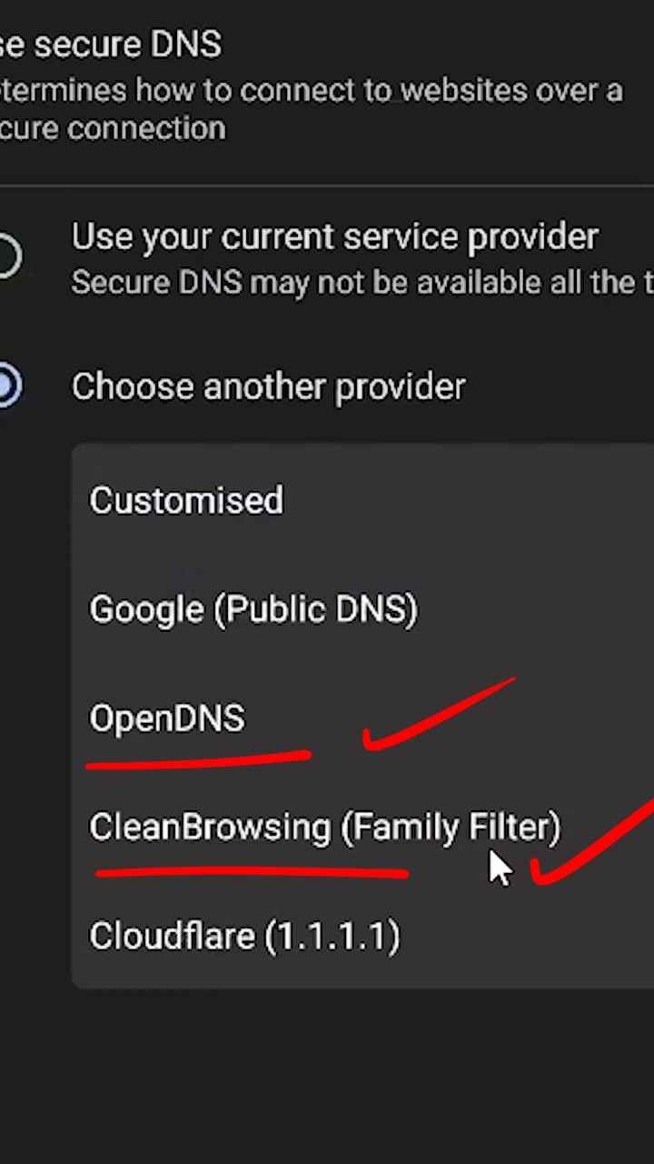 Select Open DNS or CleanBrowsing(Family Filter) to block adult website