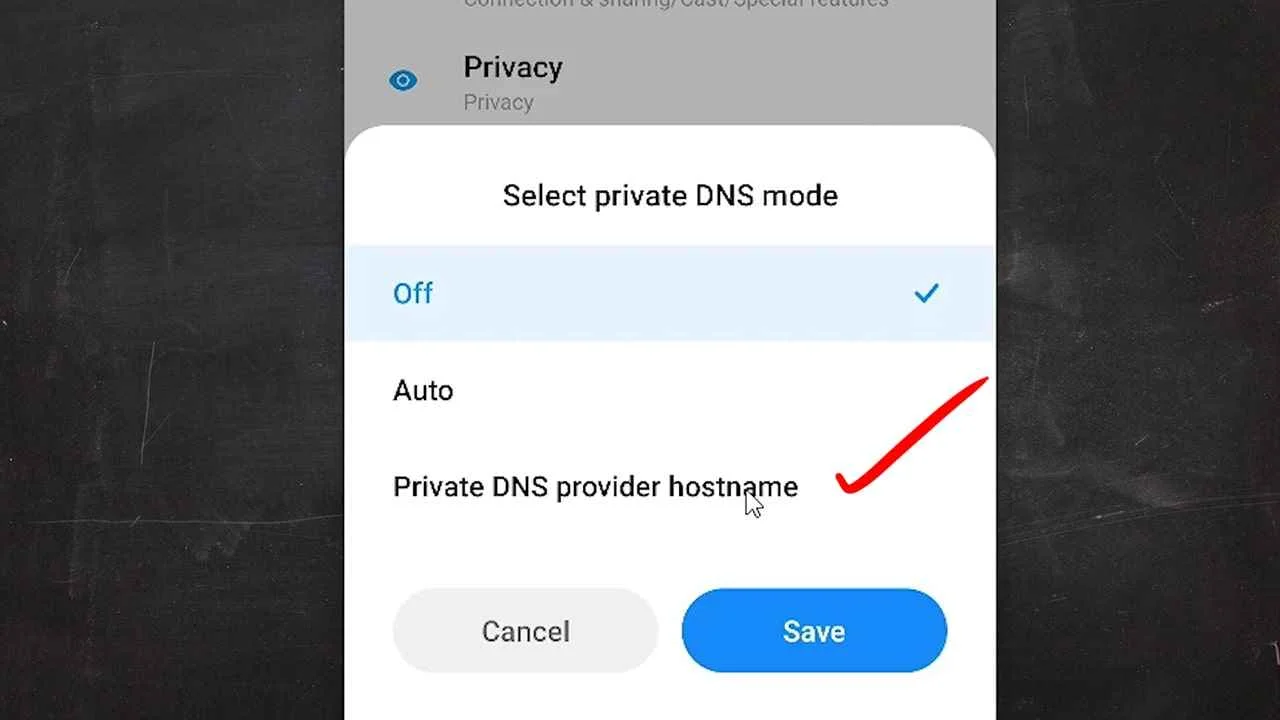 Select Private DNS Provider Hostname
