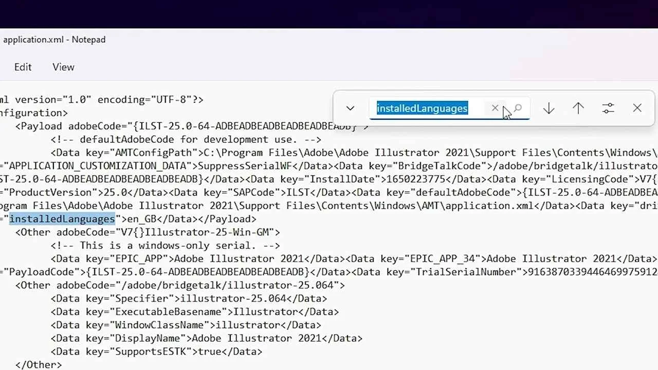 language code in Adobe Illustrator